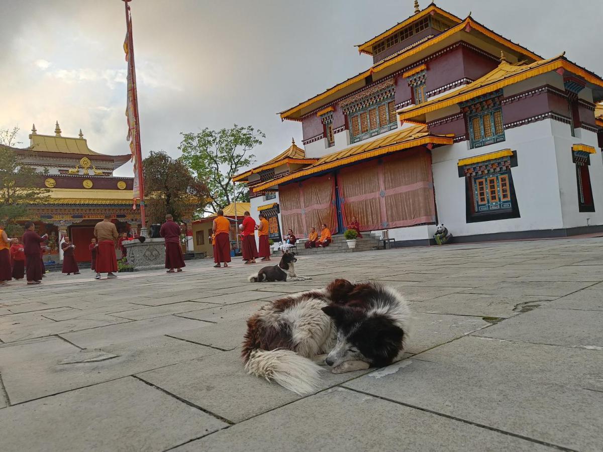 Mellow Fellow Hostel Gangtok Εξωτερικό φωτογραφία